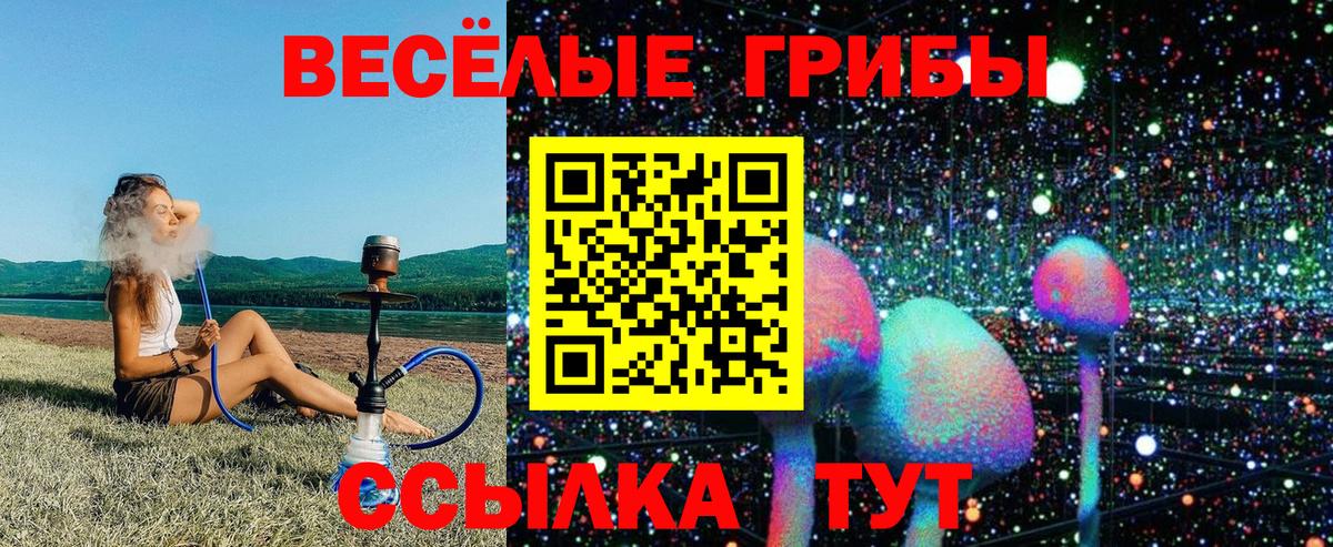 Псилоцибиновые грибы Psilocybine cubensis  Галлюциногенные грибы Psilocybe  Богородск  Вход с VPN 
